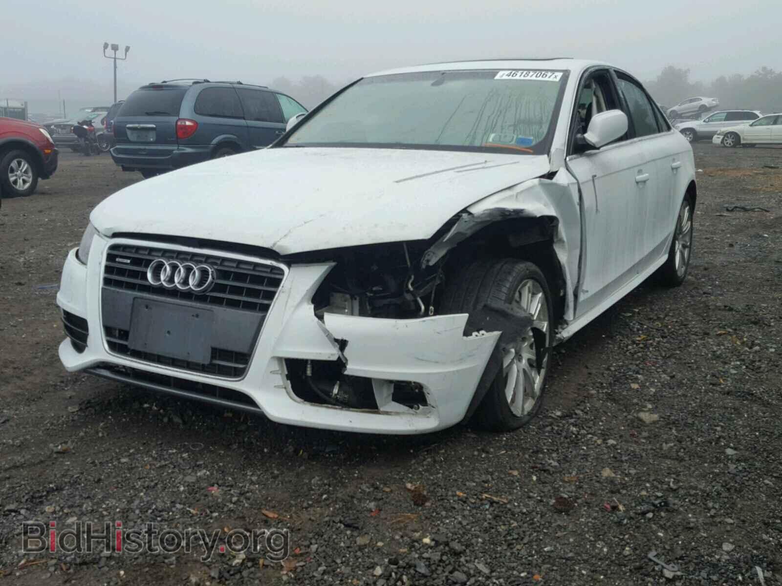2012 AUDI A4 - VIN: WAUFFAFL6CN020256 - Фото 2