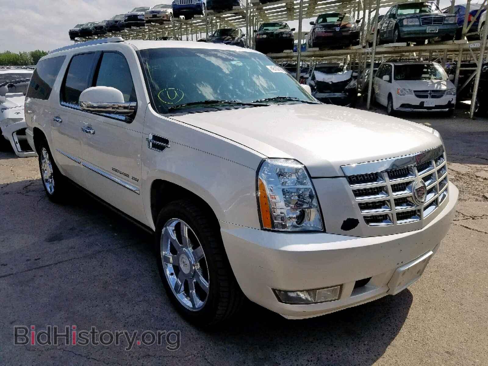 Фотография 1GYS4JEF7BR315029 - CADILLAC ESCALADE E 2011