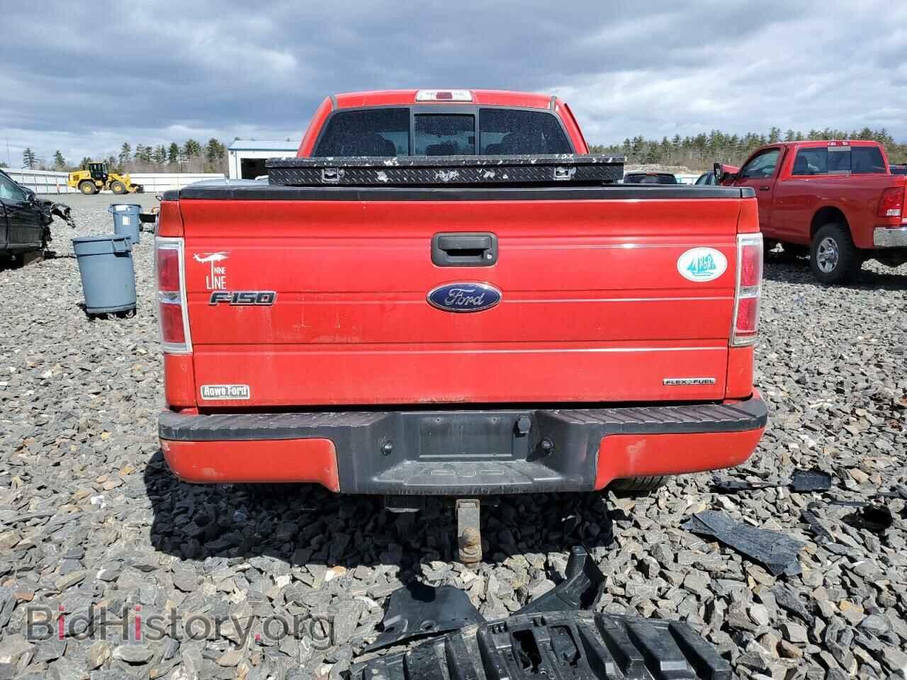2013 FORD F-150 - VIN: 1FTFX1EF2DFD14650 - Фото 6