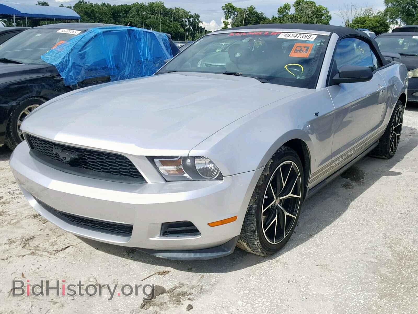 2011 FORD MUSTANG - VIN: 1ZVBP8EM2B5126622 - Фото 2