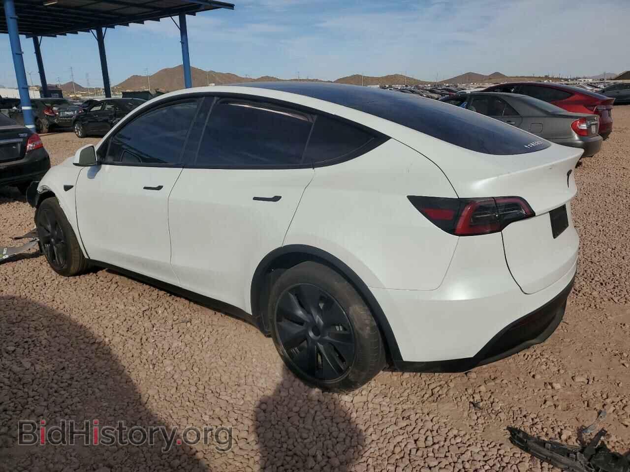 2024 TESLA MODEL Y - VIN: 7SAYGDED1RF202154 - Photo 2