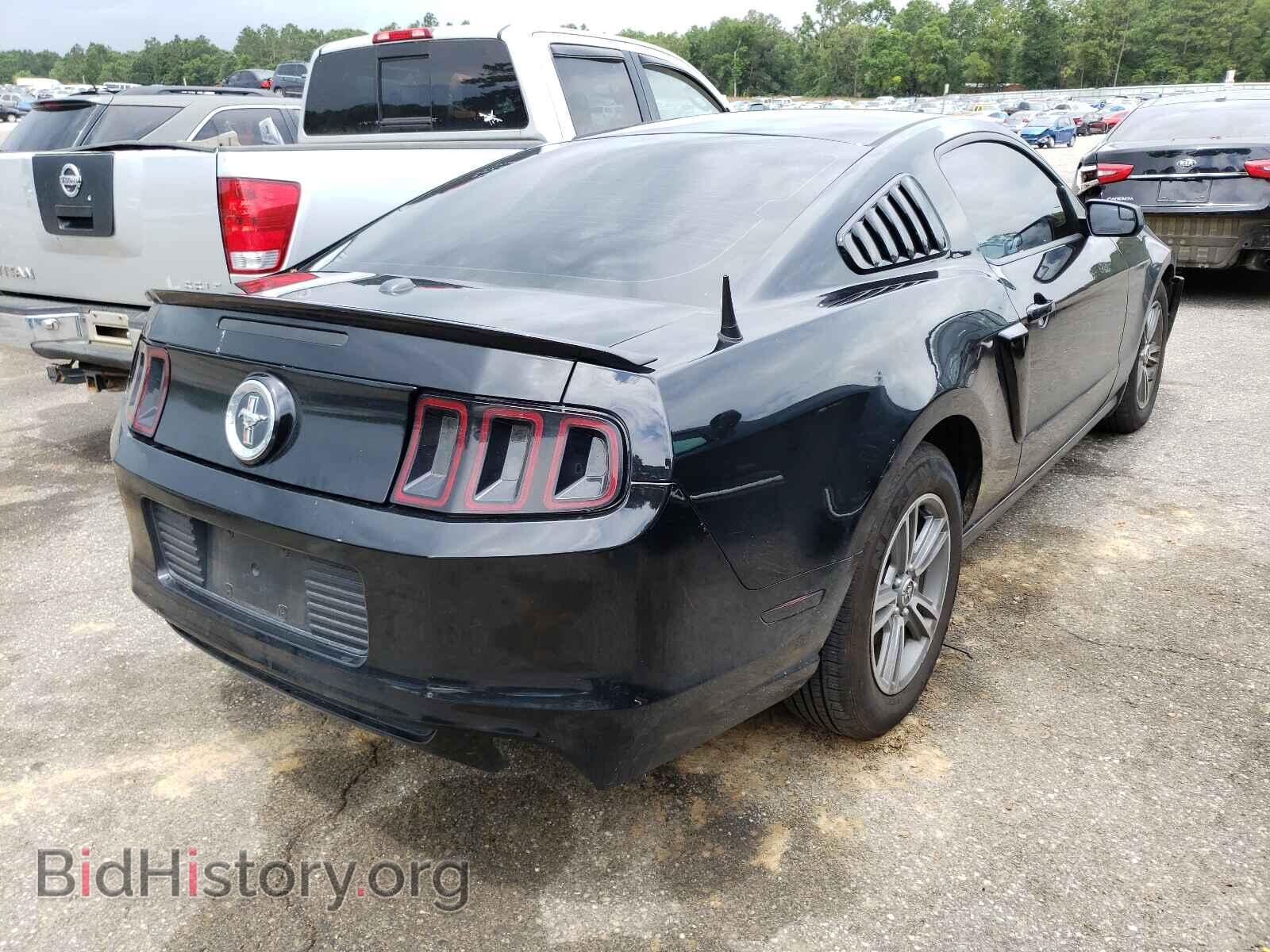 2013 FORD MUSTANG - VIN: 1ZVBP8AM2D5223277 - Фото 4