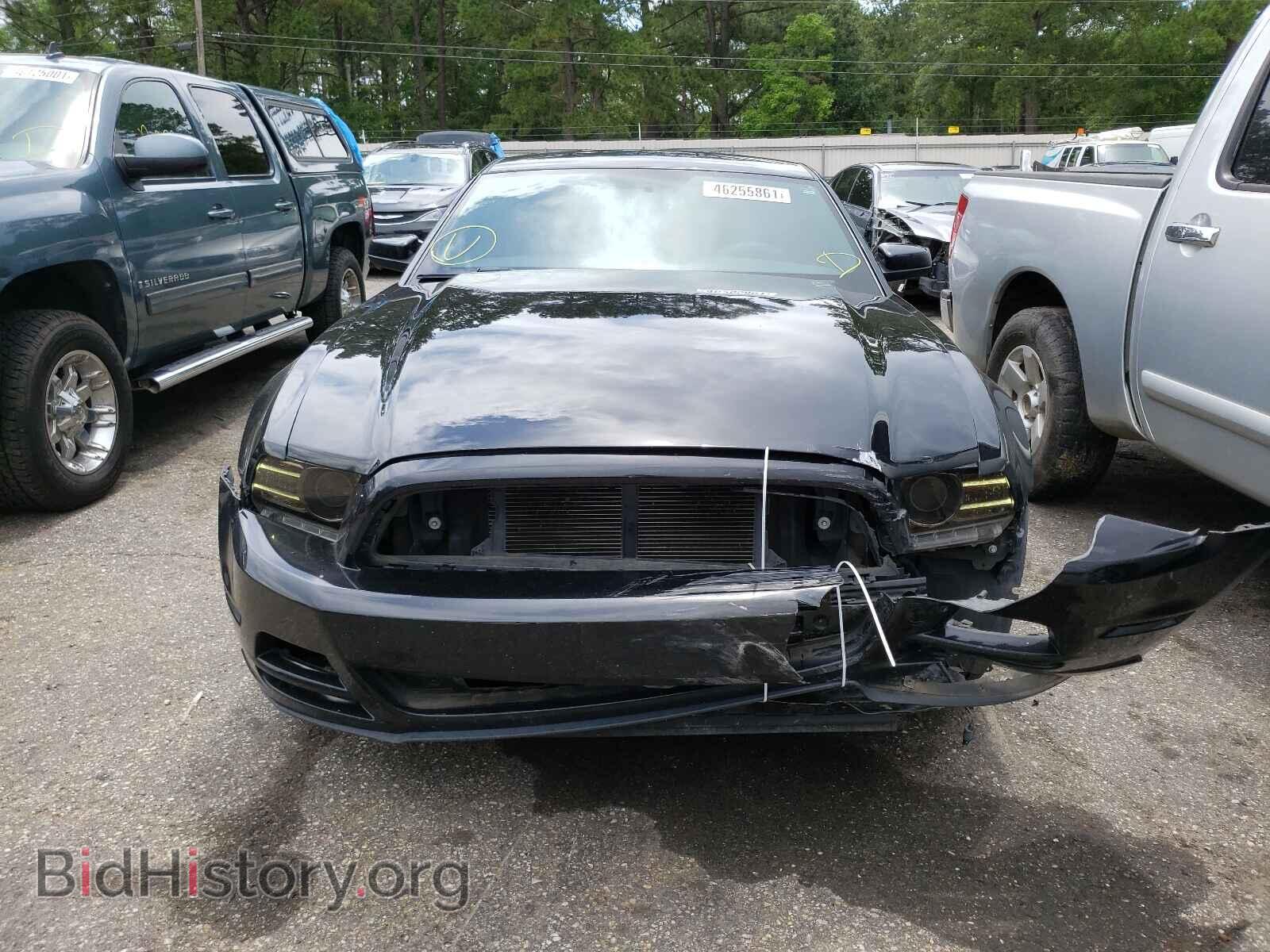 2013 FORD MUSTANG - VIN: 1ZVBP8AM2D5223277 - Фото 9