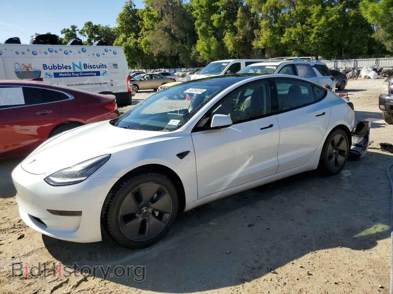 Photo 5YJ3E1EA3MF854848 - TESLA MODEL 3 2021