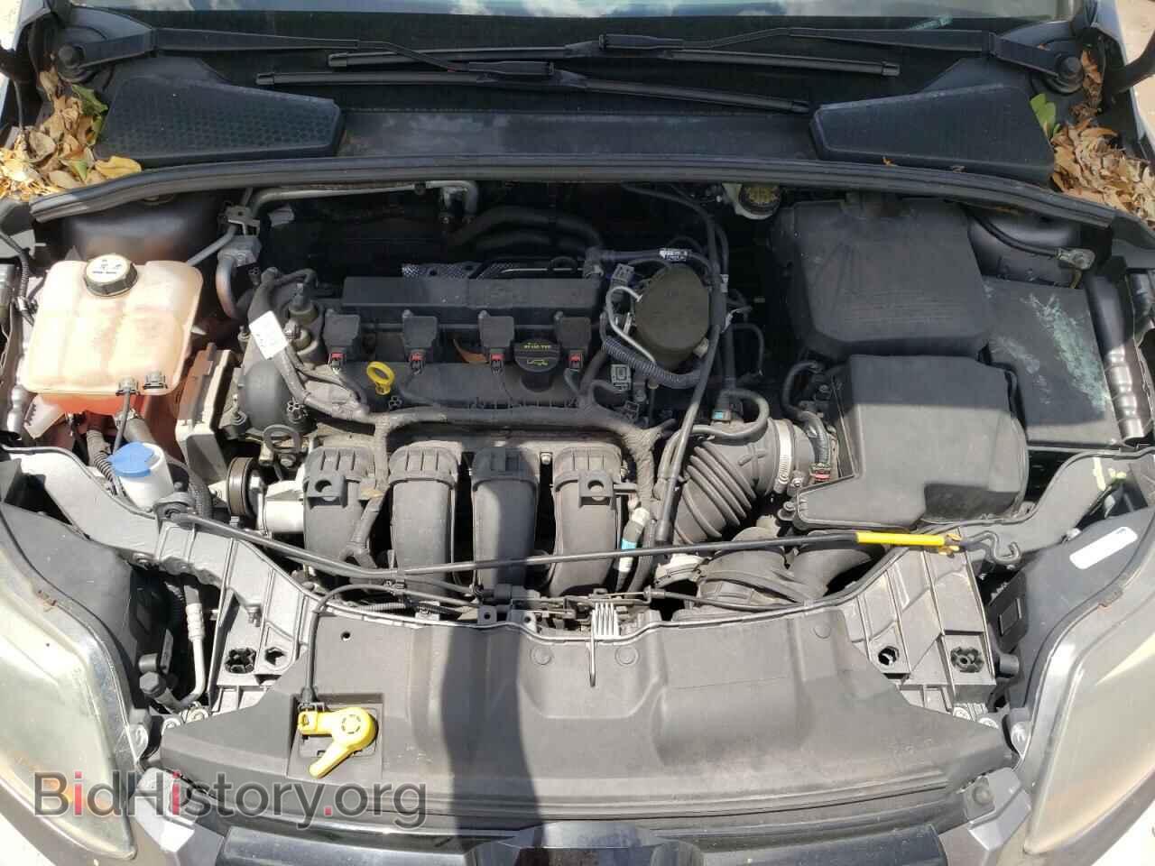 2013 FORD FOCUS - VIN: 1FADP3J26DL331321 - Фото 7