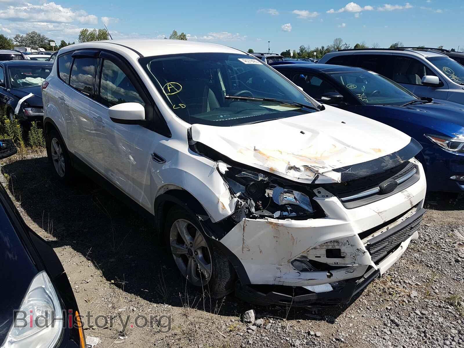 Photo 1FMCU0GX7DUA49467 - FORD ESCAPE 2013
