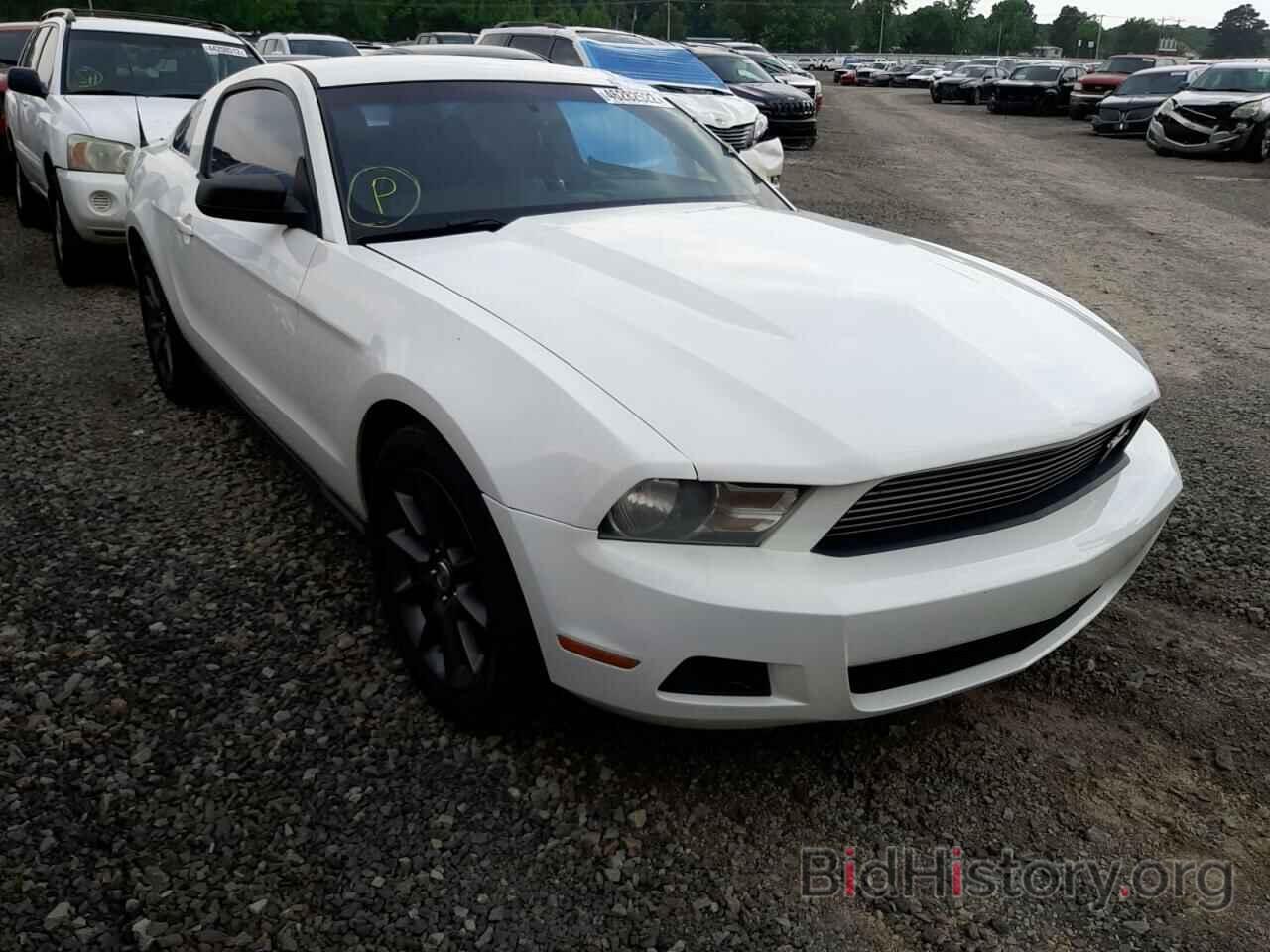 Photo 1ZVBP8AMXC5238432 - FORD MUSTANG 2012