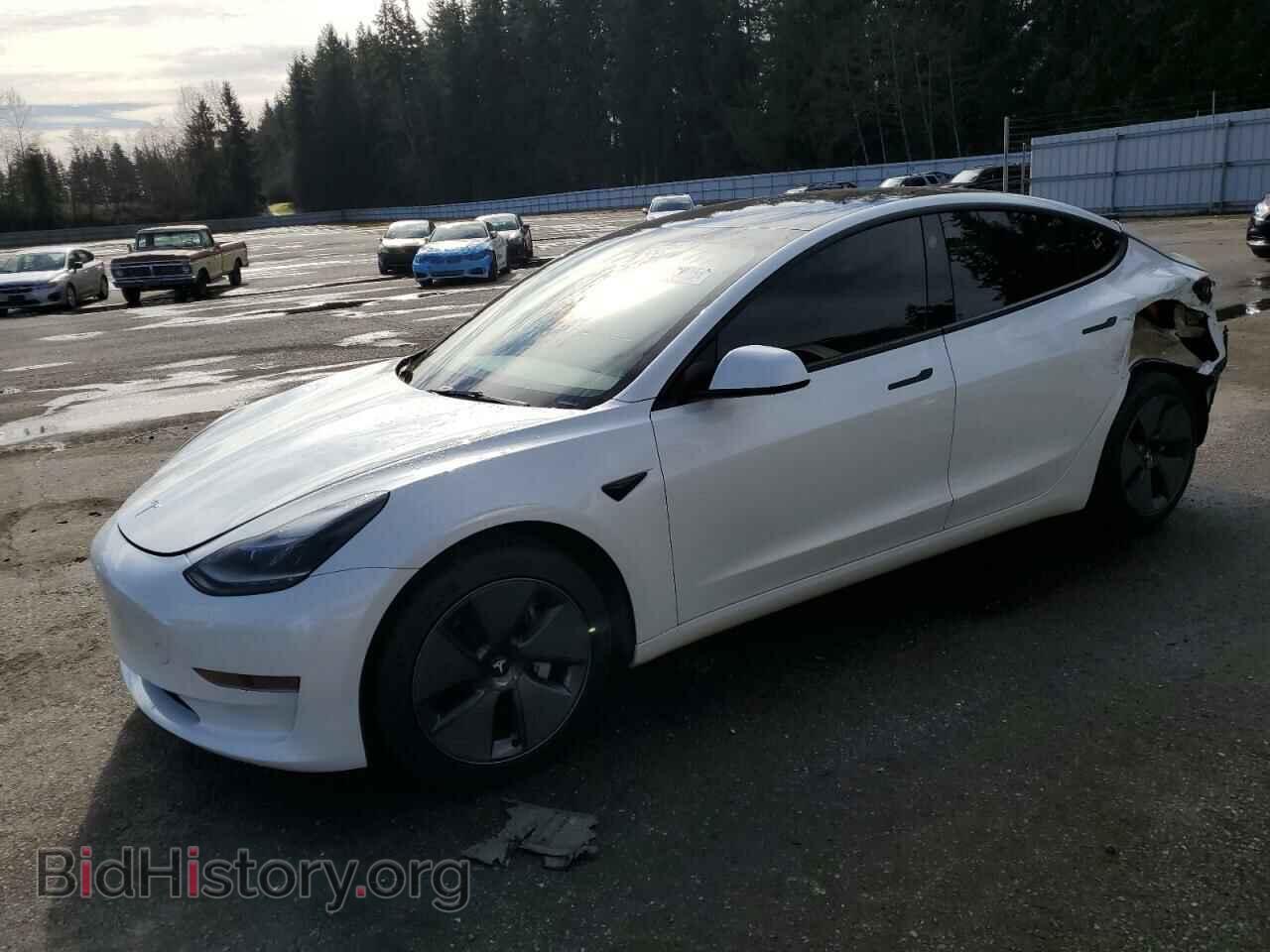 Photo 5YJ3E1EA2PF481189 - TESLA MODEL 3 2023