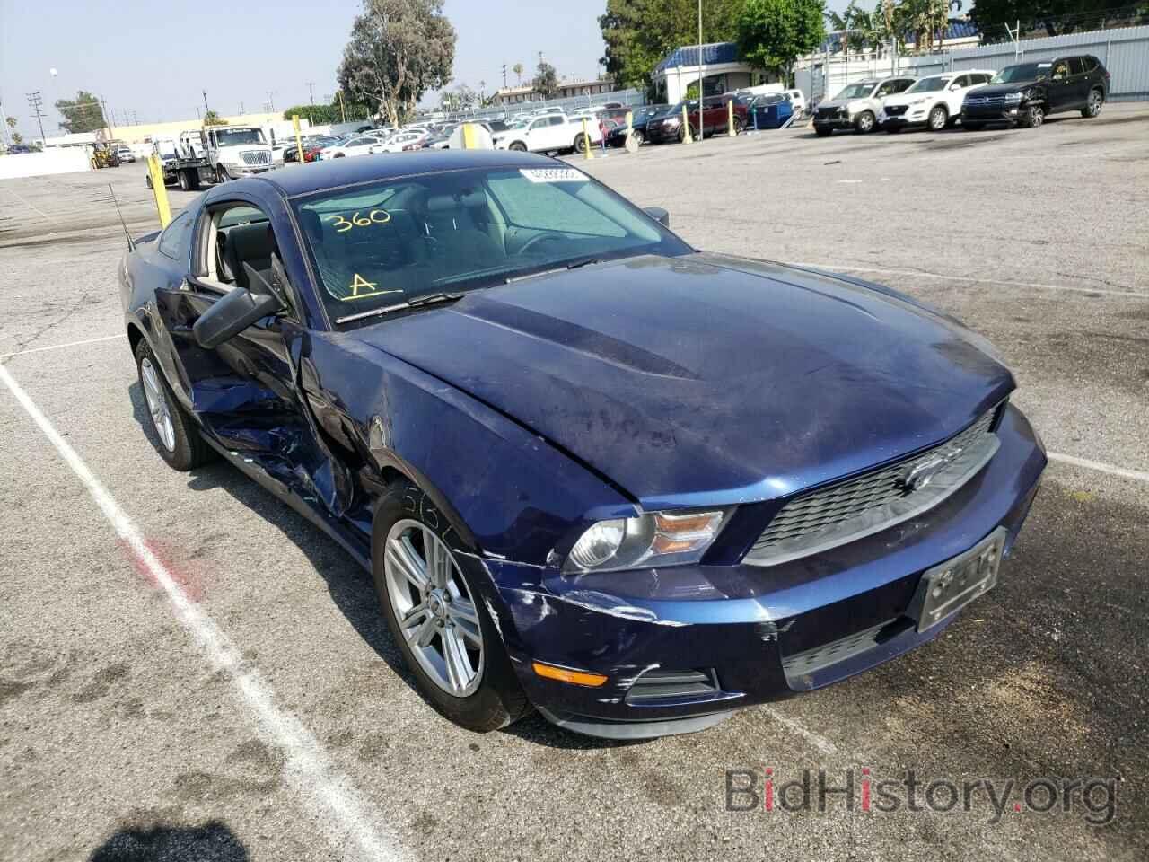 Photo 1ZVBP8AN2A5134104 - FORD MUSTANG 2010