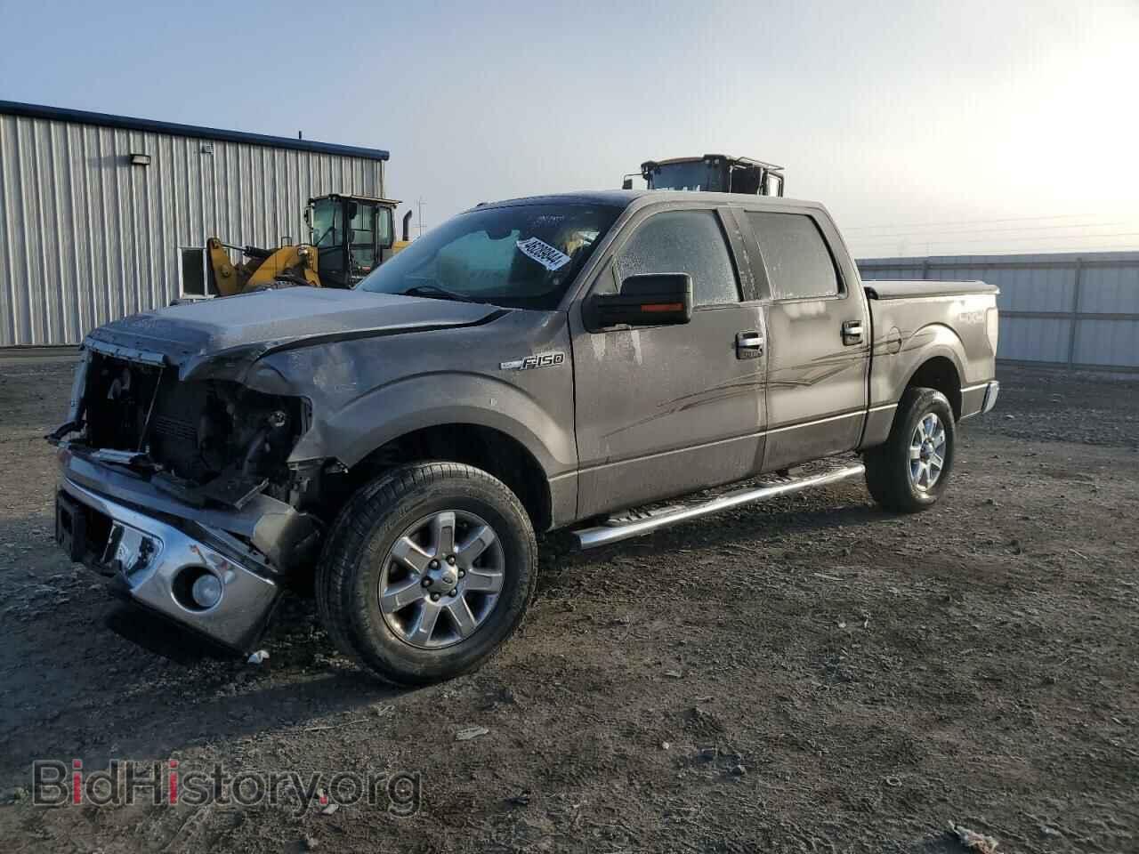 Photo 1FTFW1EF9DFB45651 - FORD F-150 2013