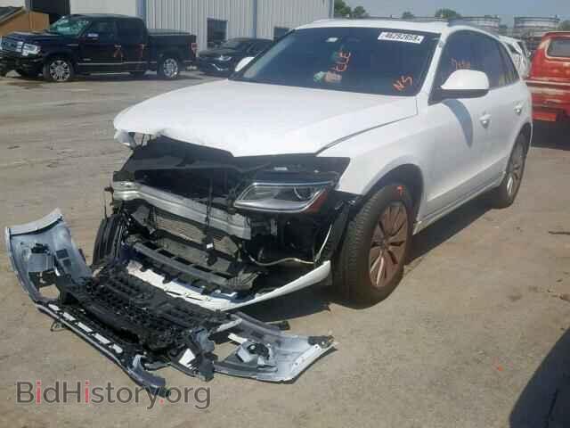 2013 AUDI Q5 - VIN: WA1C8AFP7DA003584 - Фото 2