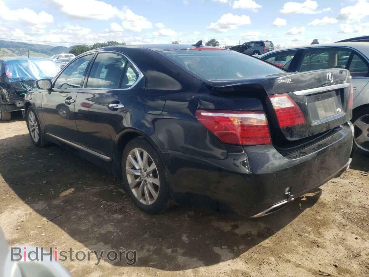 2011 LEXUS LS460 - VIN: JTHBL5EF6B5103809 - Фото 2