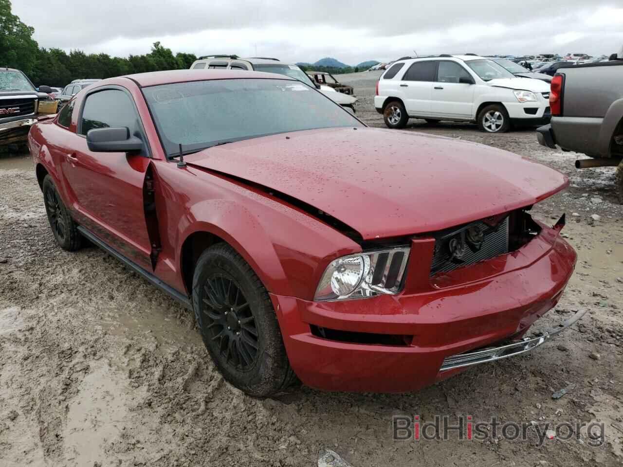 Photo 1ZVHT80N385149101 - FORD MUSTANG 2008