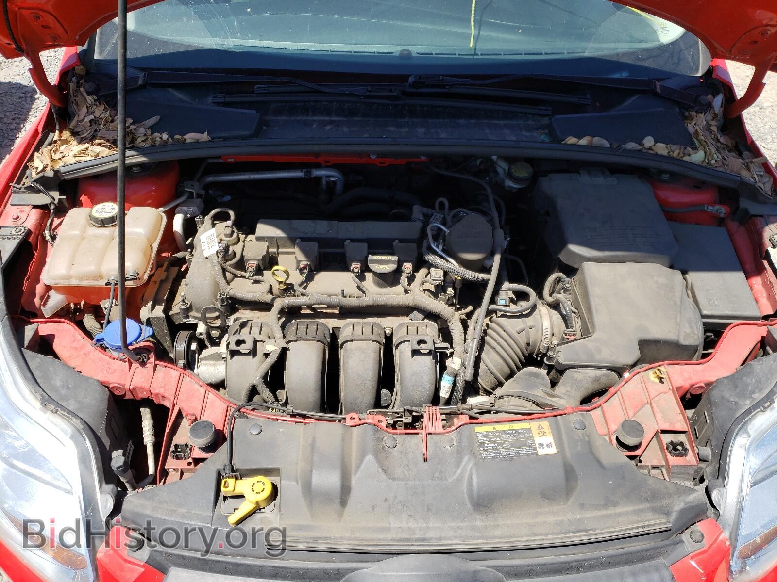 2013 FORD FOCUS - VIN: 1FADP3F23DL308099 - Фото 7