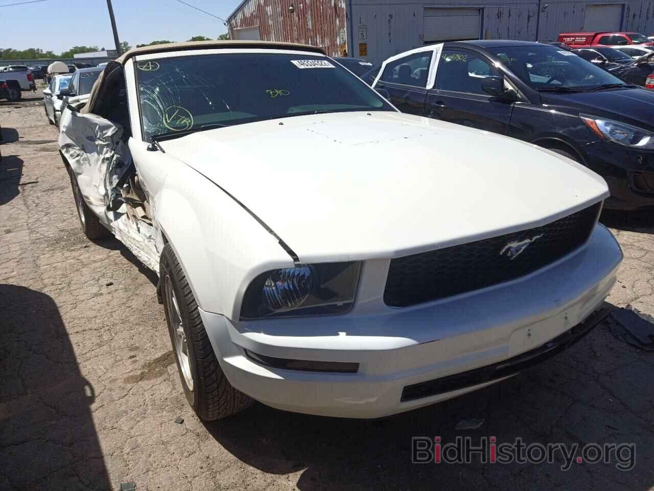 Photo 1ZVHT84N585181218 - FORD MUSTANG 2008
