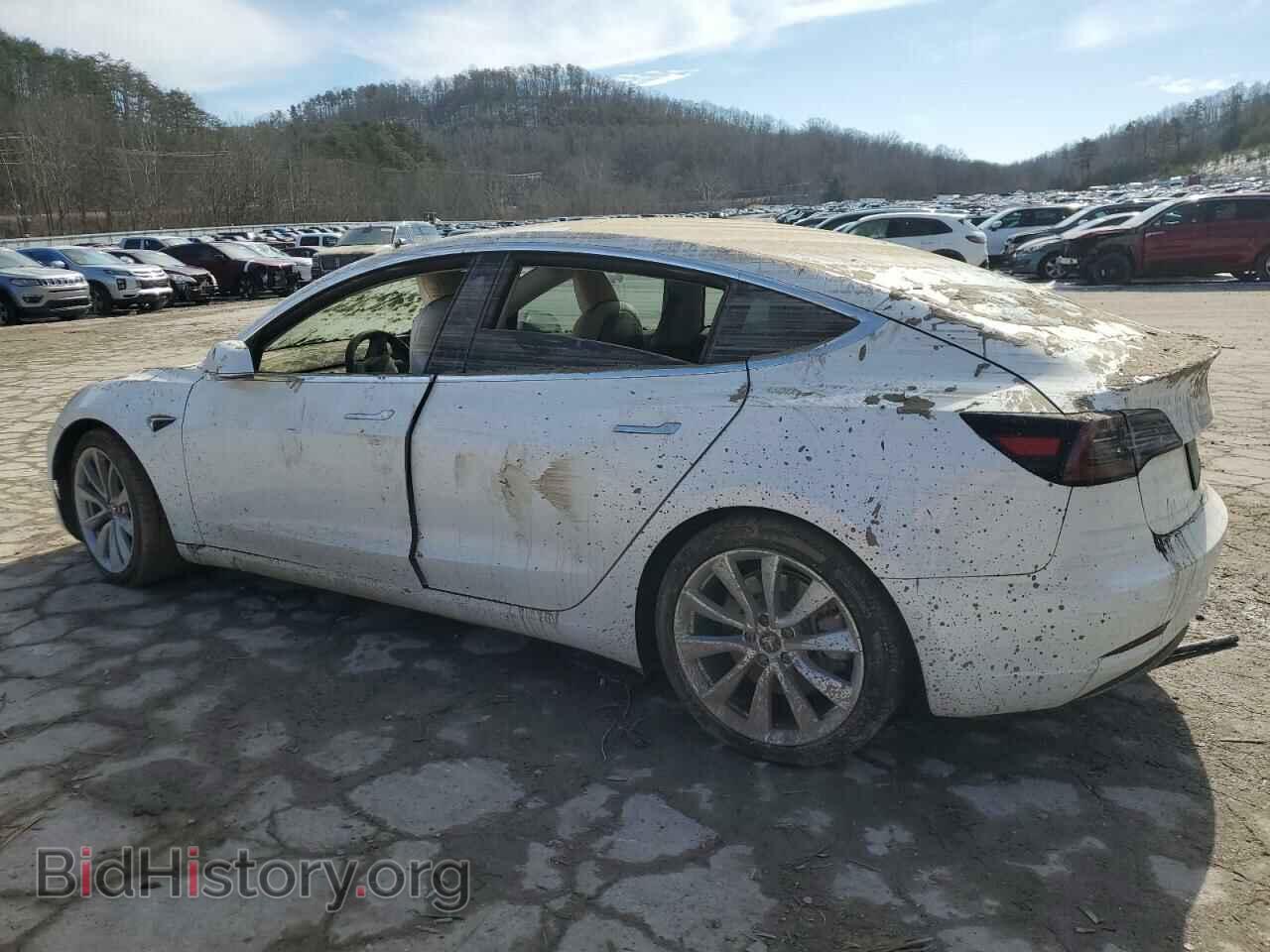 2019 TESLA MODEL 3 - VIN: 5YJ3E1EA3KF509087 - Photo 2
