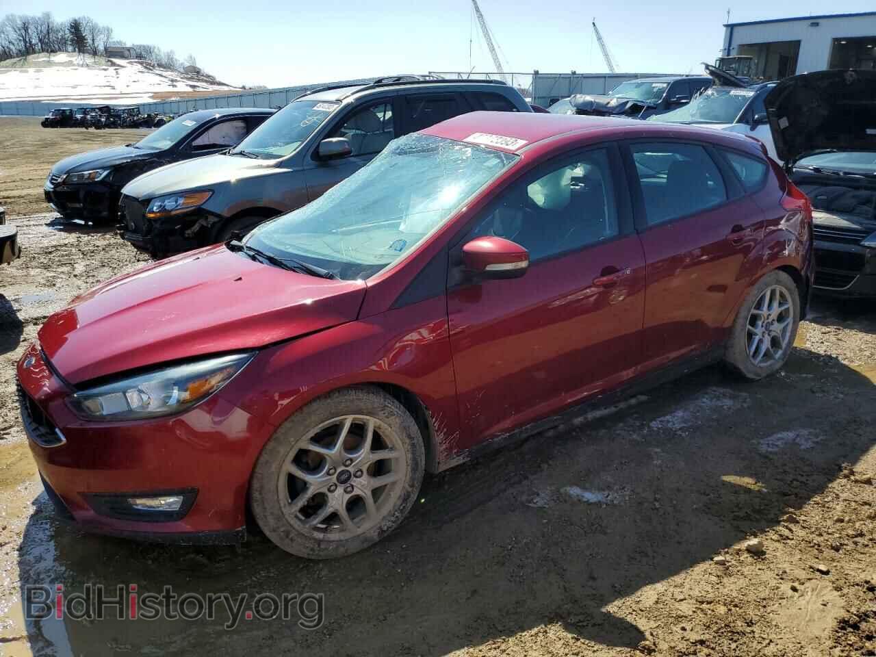 Фотография 1FADP3K25FL264776 - FORD FOCUS 2015