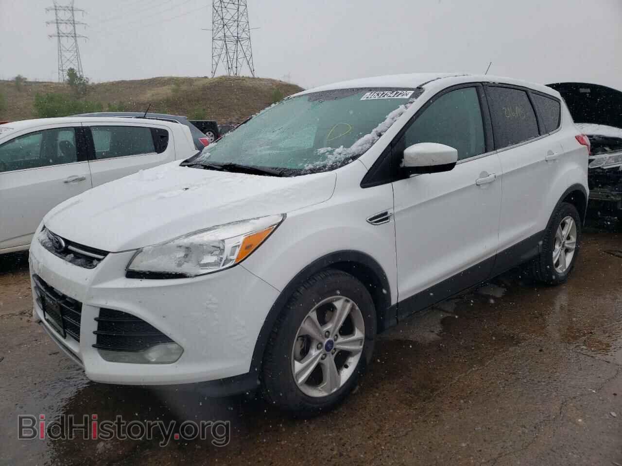 2014 FORD ESCAPE - VIN: 1FMCU0GX4EUB09643 - Photo 2