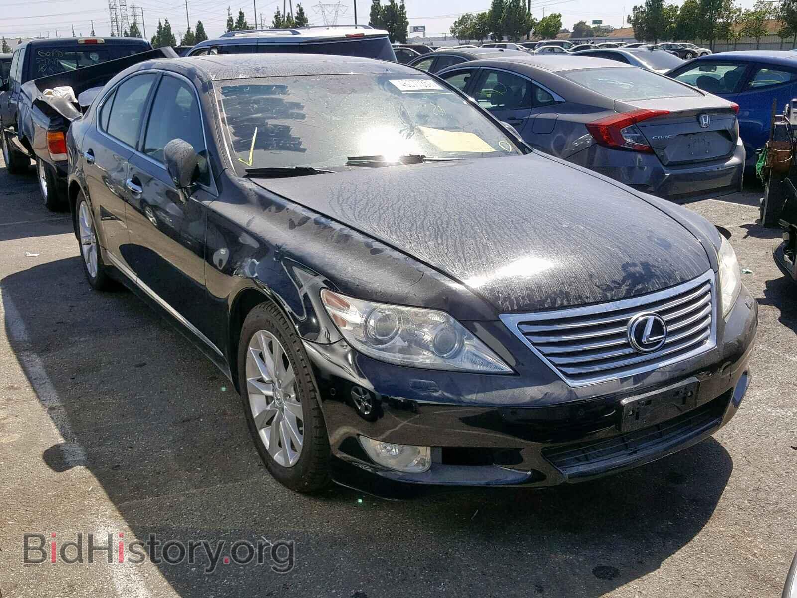 Фотография JTHBL5EF9C5113686 - LEXUS LS460 2012