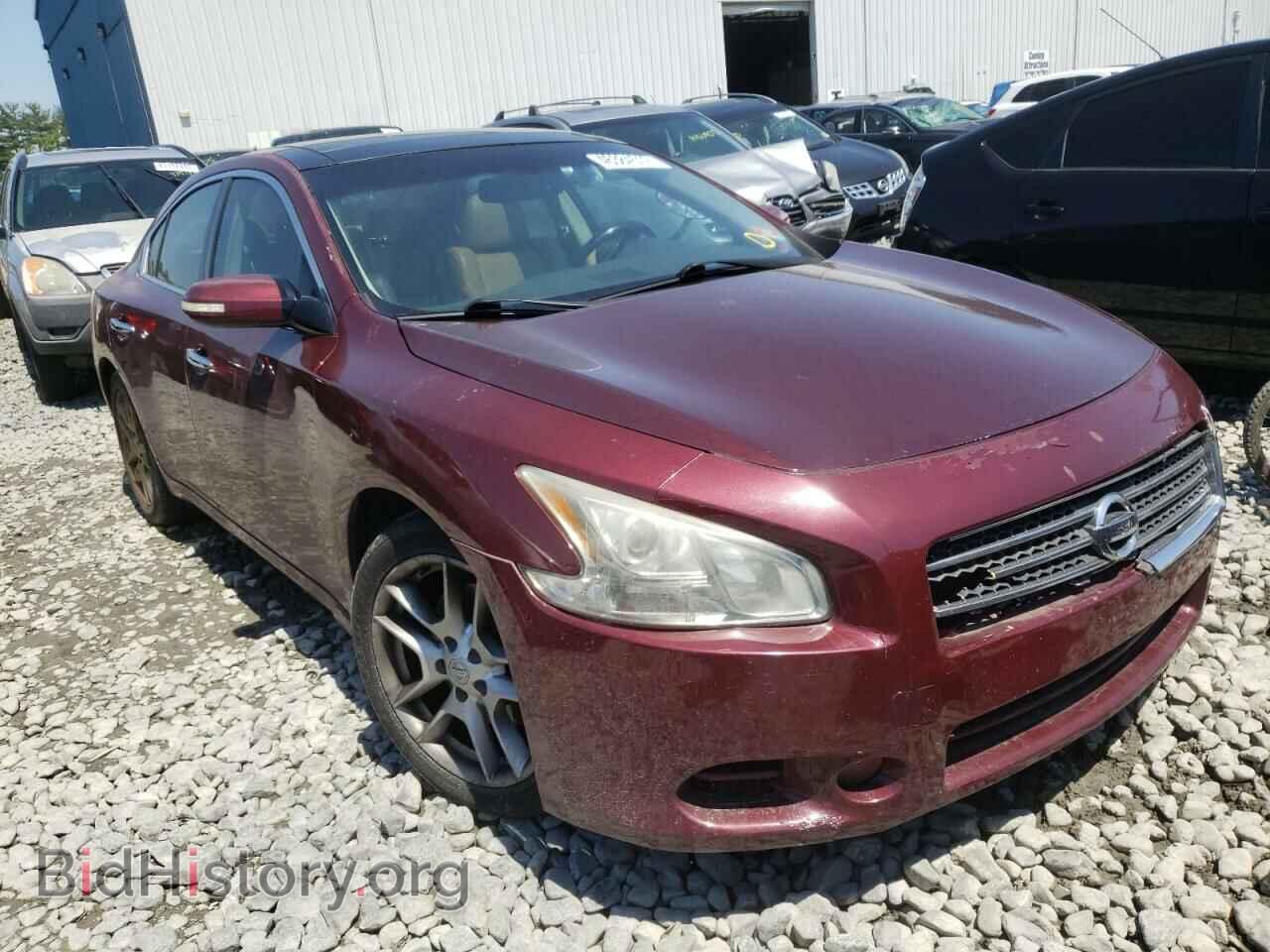 Фотография 1N4AA51E49C855875 - NISSAN MAXIMA 2009