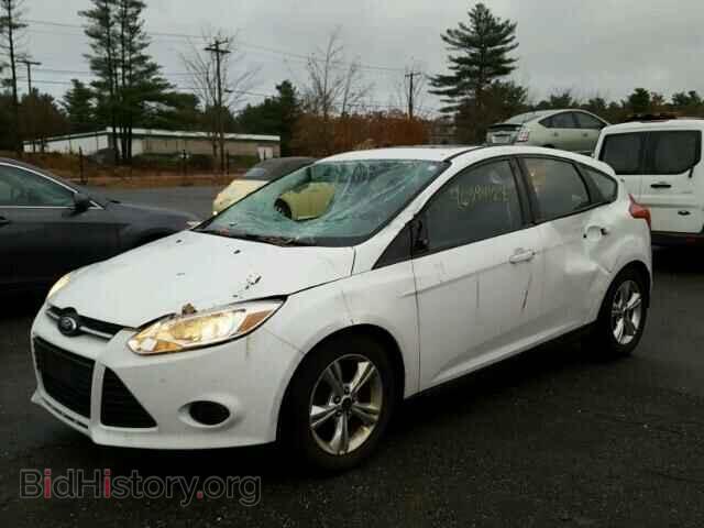 2013 FORD FOCUS - VIN: 1FADP3K25DL274219 - Фото 2