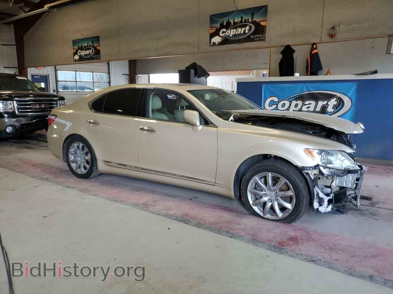 2009 LEXUS LS460 - VIN: JTHBL46F395089015 - Photo 4