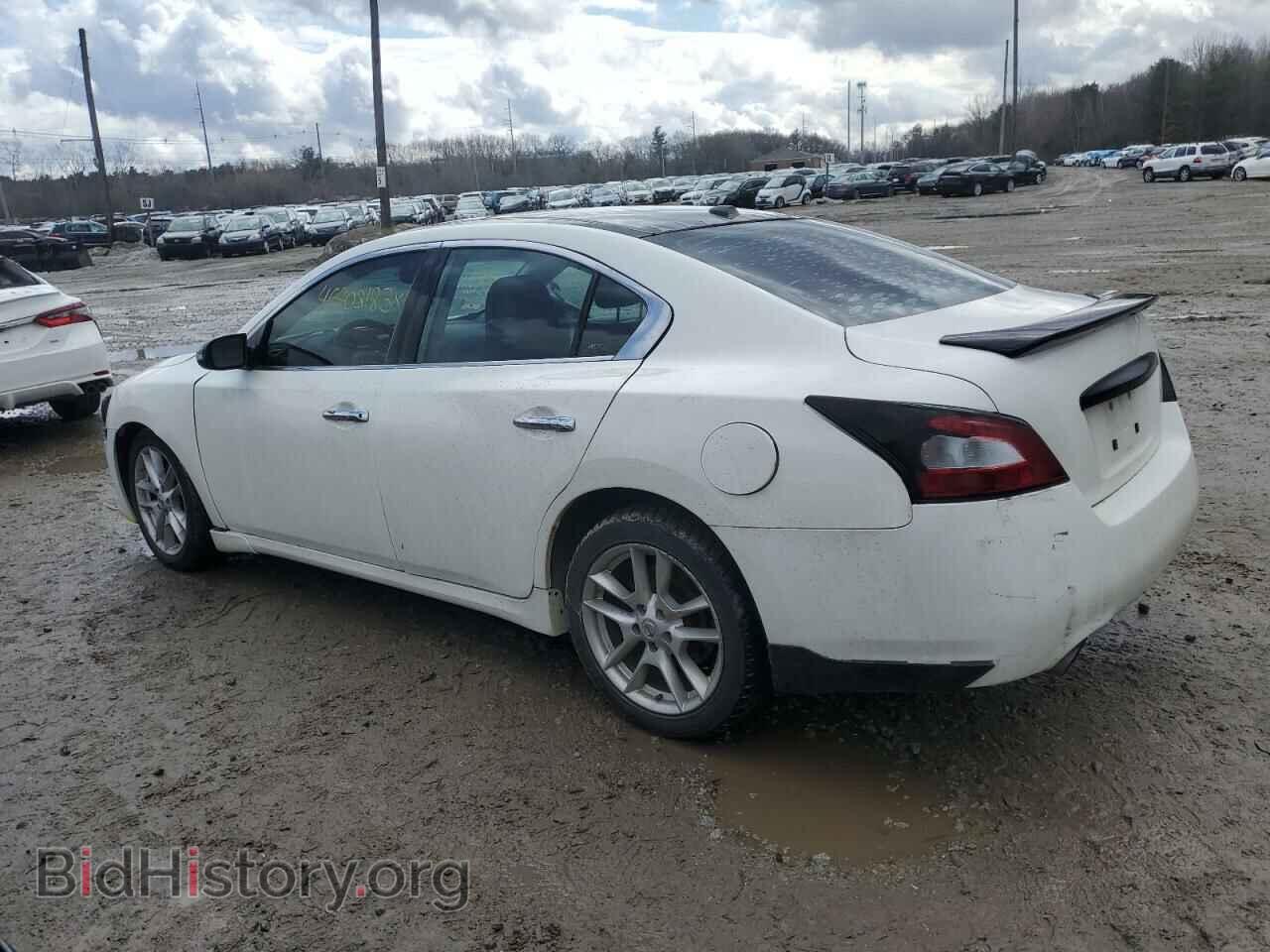 2010 NISSAN MAXIMA - VIN: 1N4AA5AP1AC812696 - Фото 2