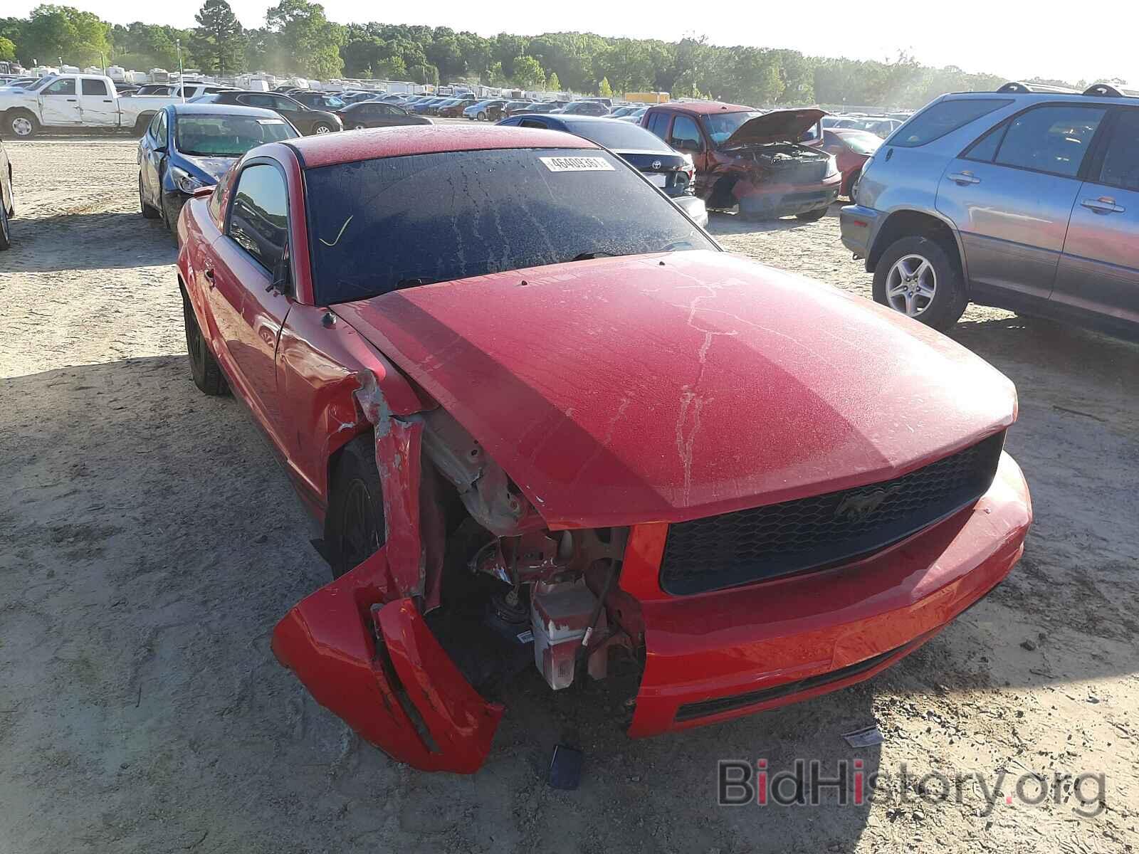 Photo 1ZVHT80N575227411 - FORD MUSTANG 2007
