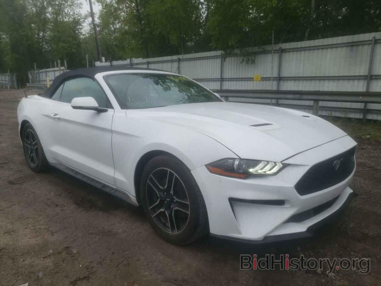 Photo 1FATP8UH4K5151572 - FORD MUSTANG 2019