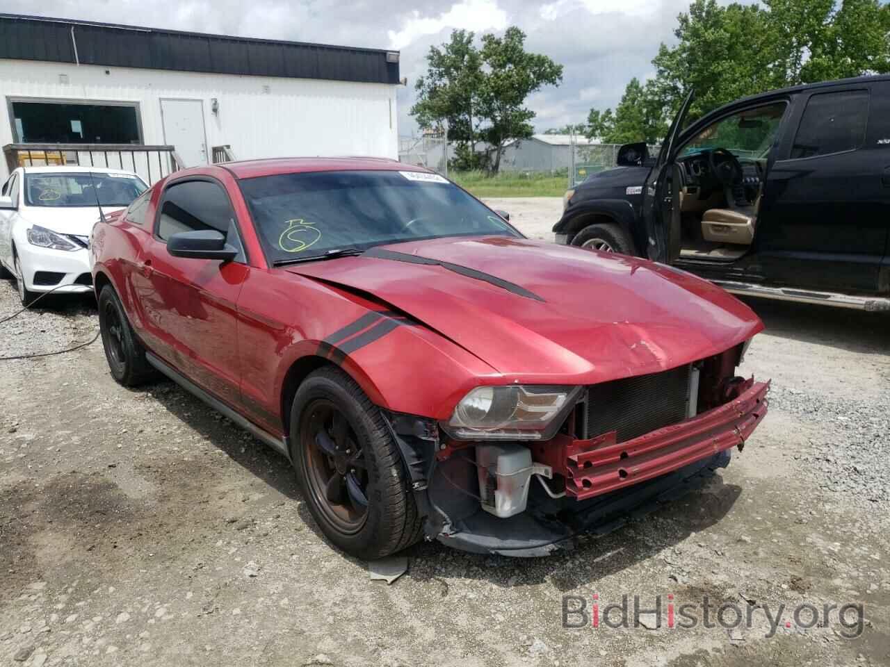 Photo 1ZVBP8AN6A5133408 - FORD MUSTANG 2010