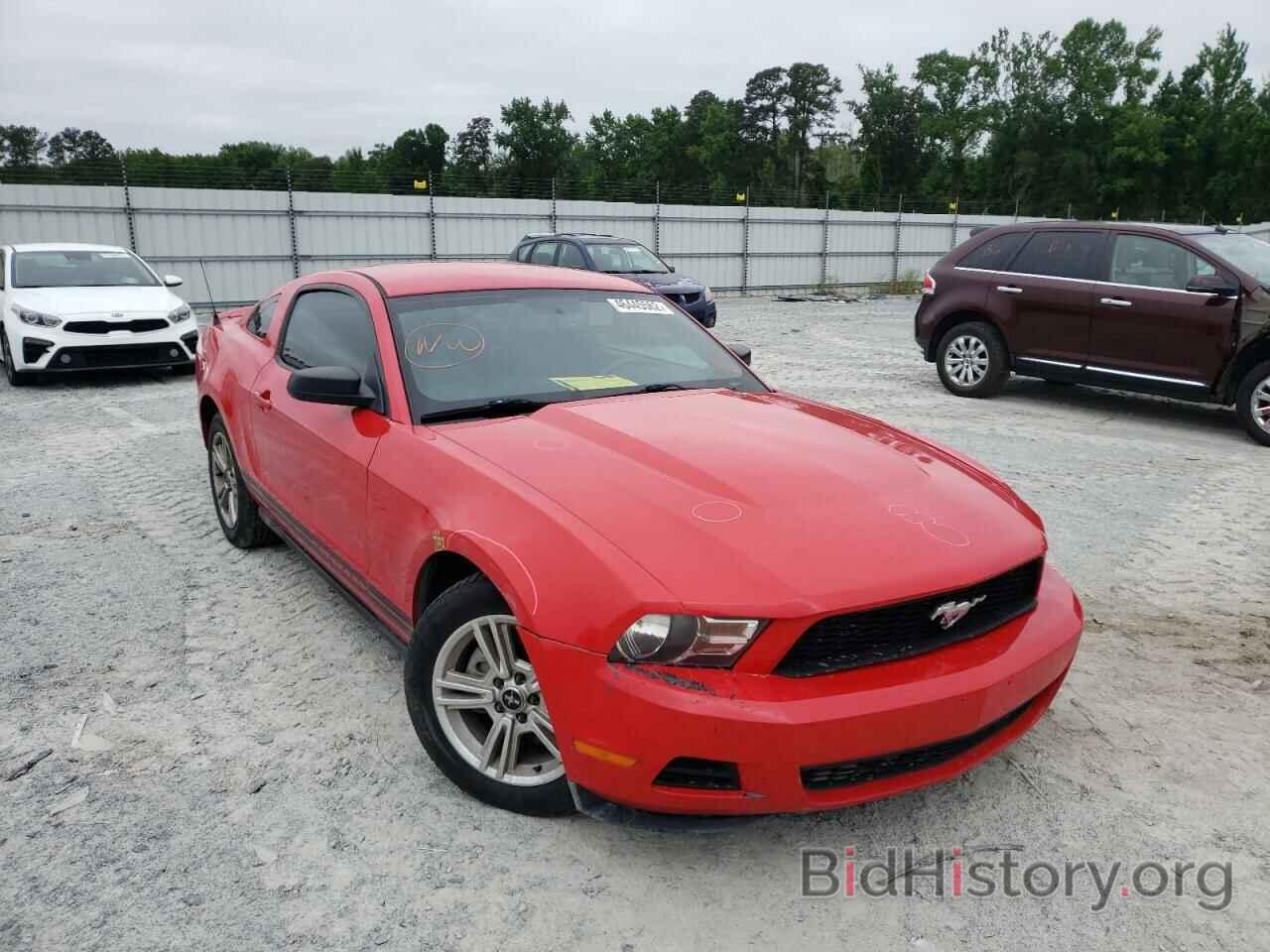 Photo 1ZVBP8AN9A5166760 - FORD MUSTANG 2010