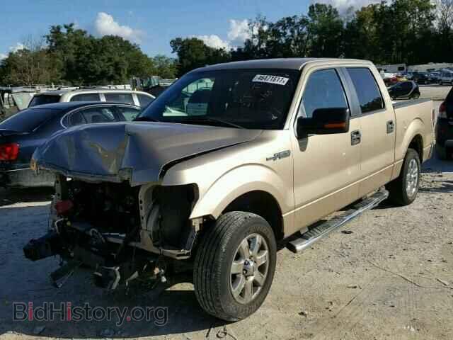 2013 FORD F150 - VIN: 1FTFW1CF1DFD00390 - Фото 2
