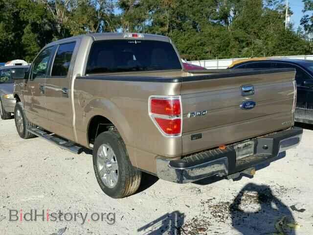 2013 FORD F150 - VIN: 1FTFW1CF1DFD00390 - Фото 3