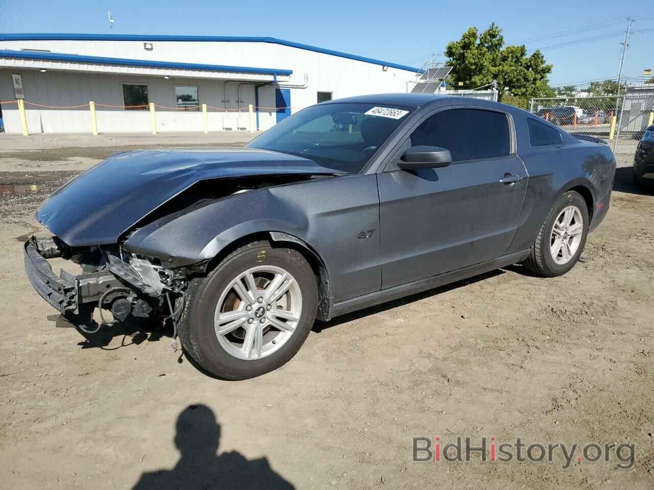 Photo 1ZVBP8AM4E5278444 - FORD MUSTANG 2014