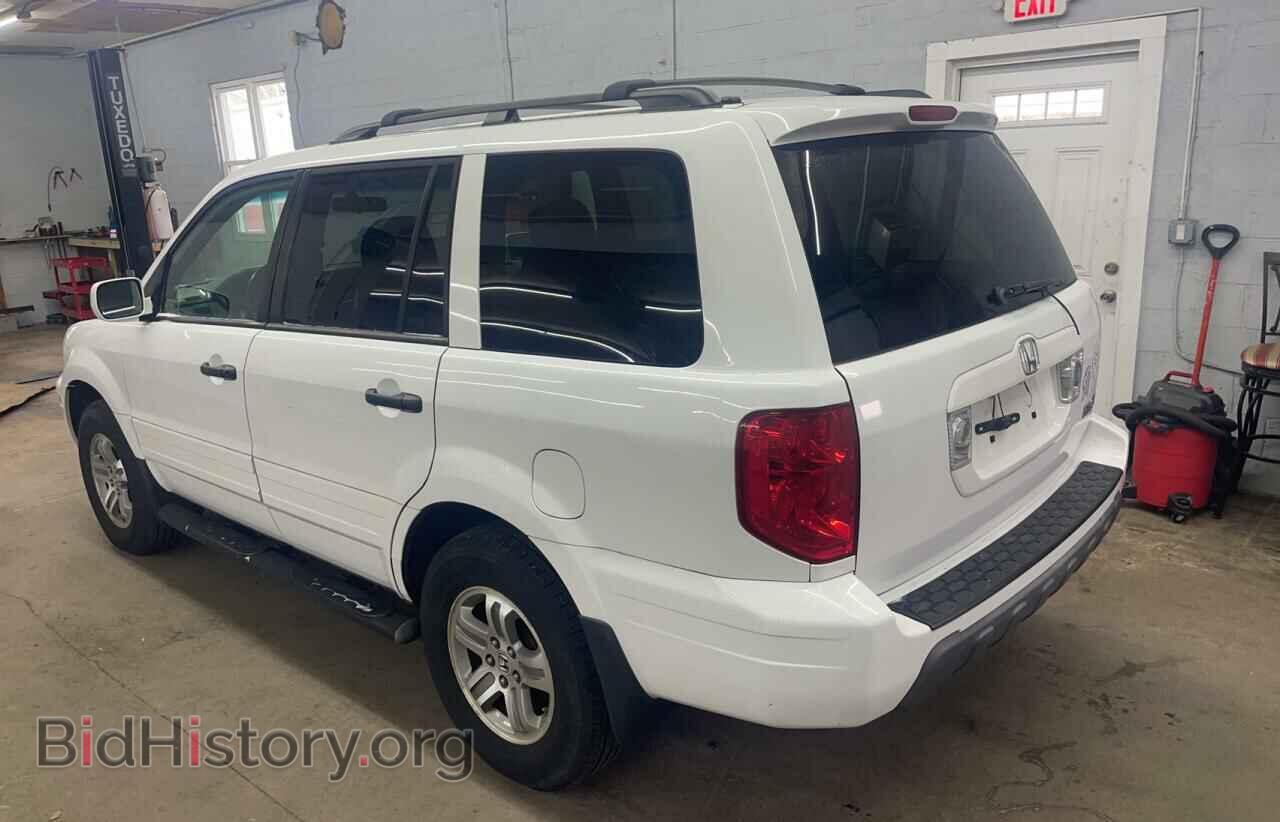 2005 HONDA PILOT - VIN: 2HKYF18765H566716 - Фото 3