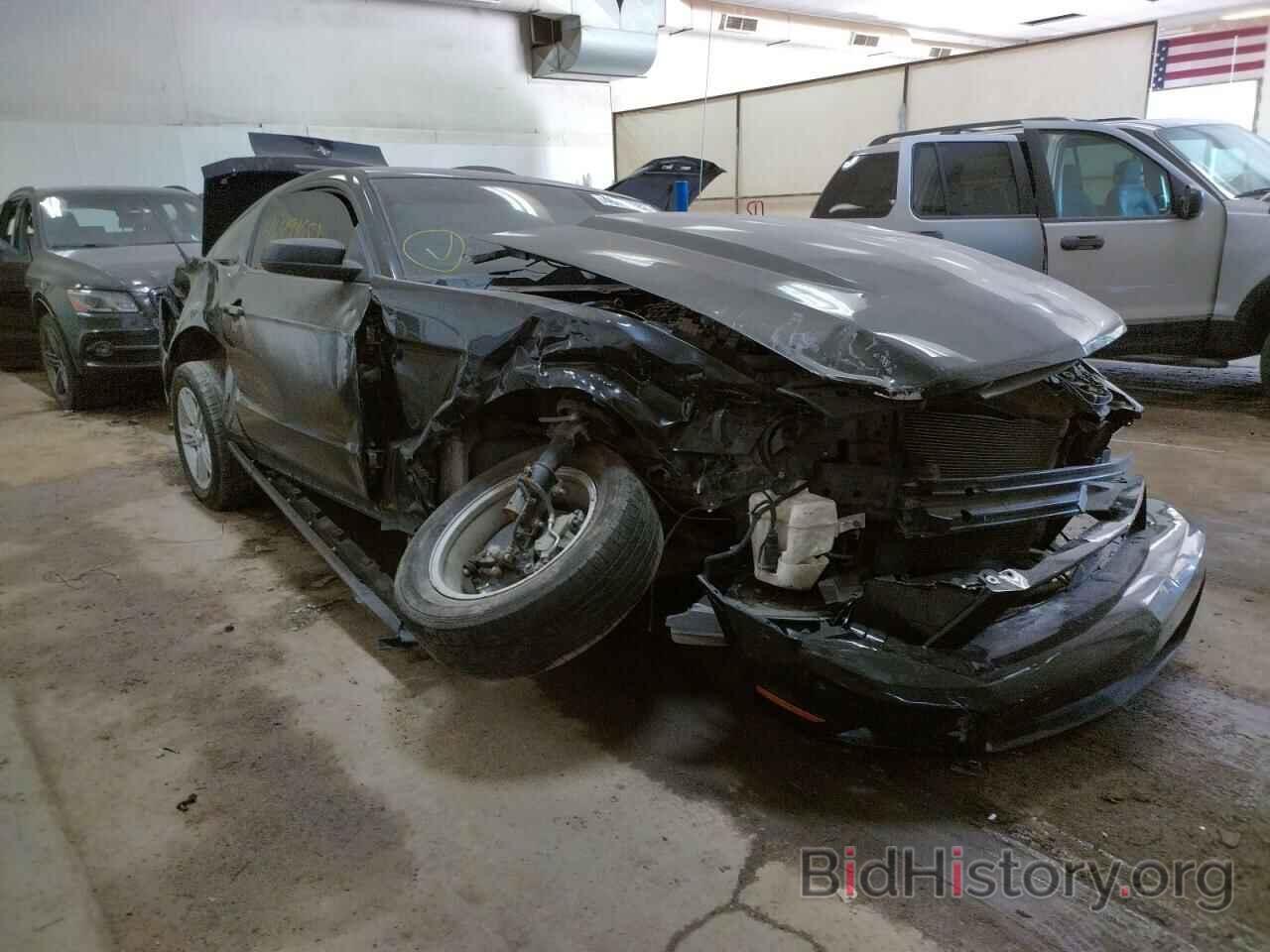 Photo 1ZVBP8AM5C5281446 - FORD MUSTANG 2012