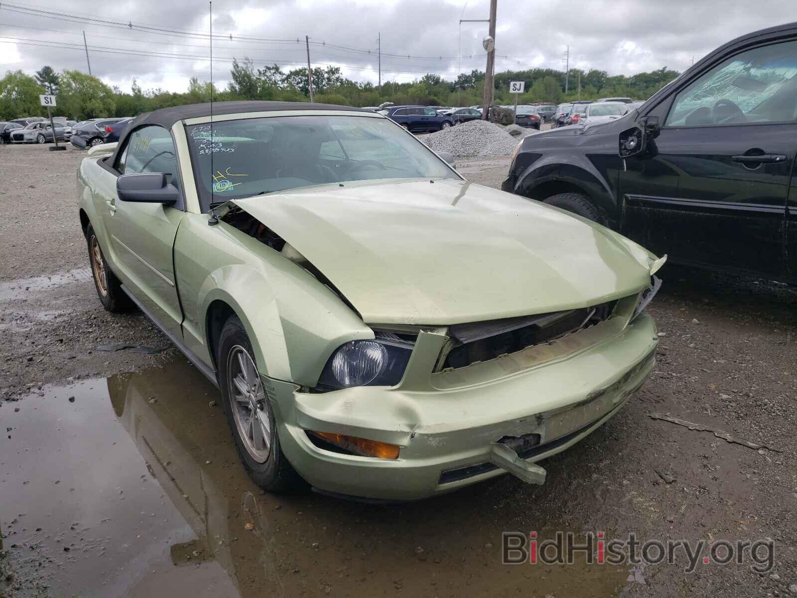 Photo 1ZVFT84N565184981 - FORD MUSTANG 2006