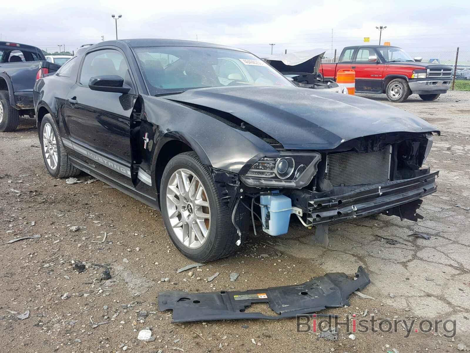 Photo 1ZVBP8AM3D5218265 - FORD MUSTANG 2013