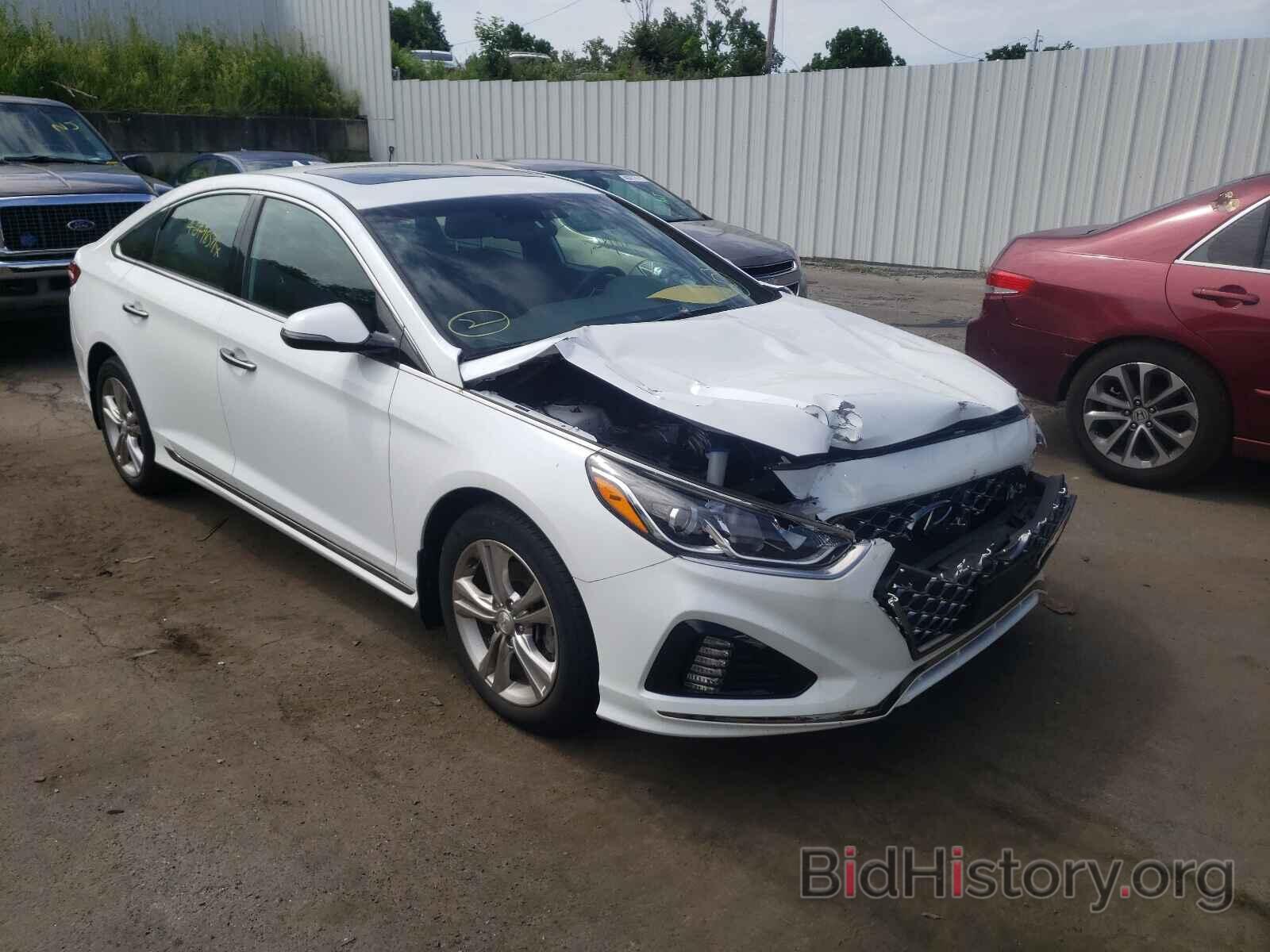 Photo 5NPE34AF4KH761000 - HYUNDAI SONATA 2019