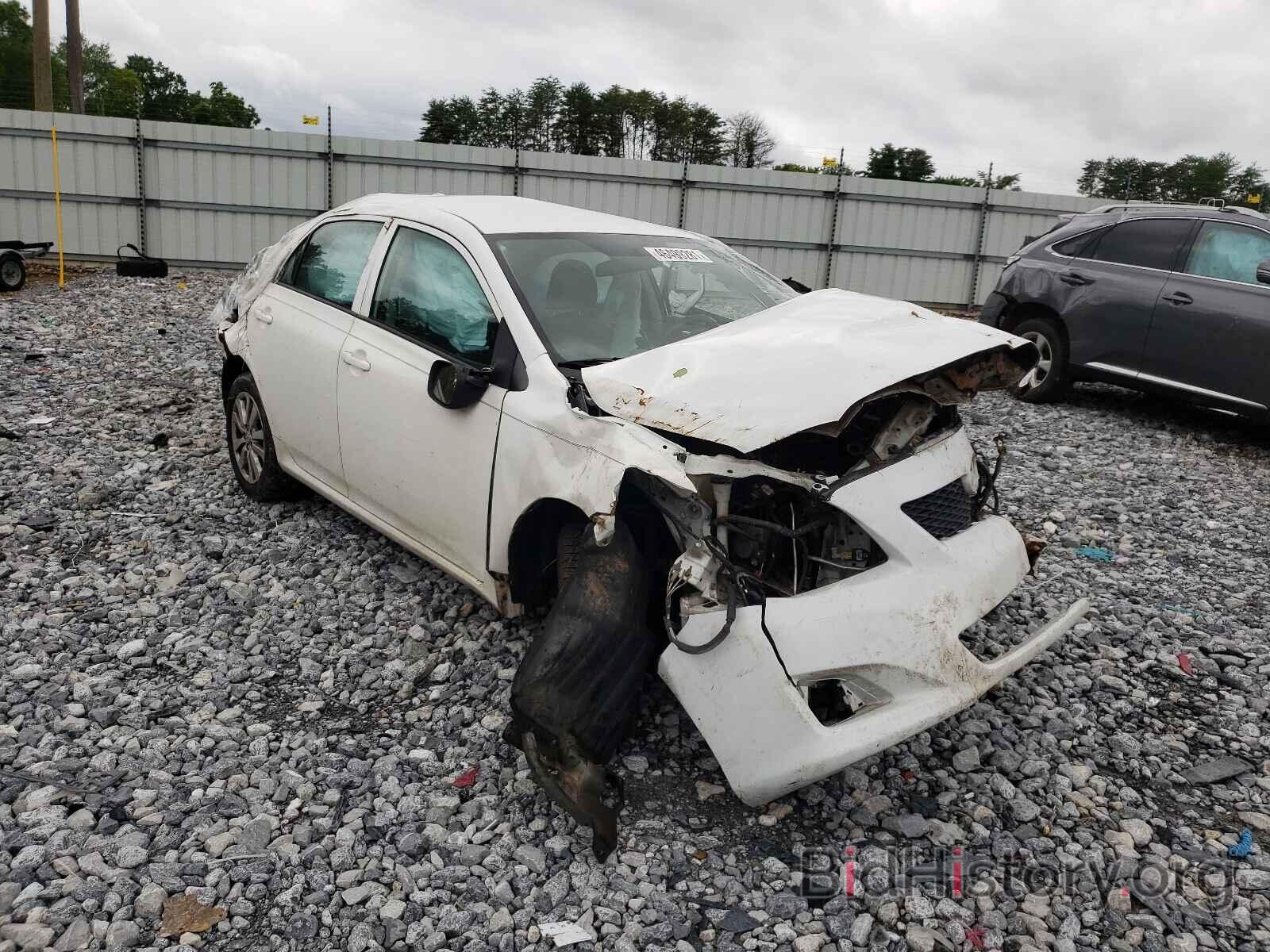 Photo 2T1BU4EE4AC432557 - TOYOTA COROLLA 2010