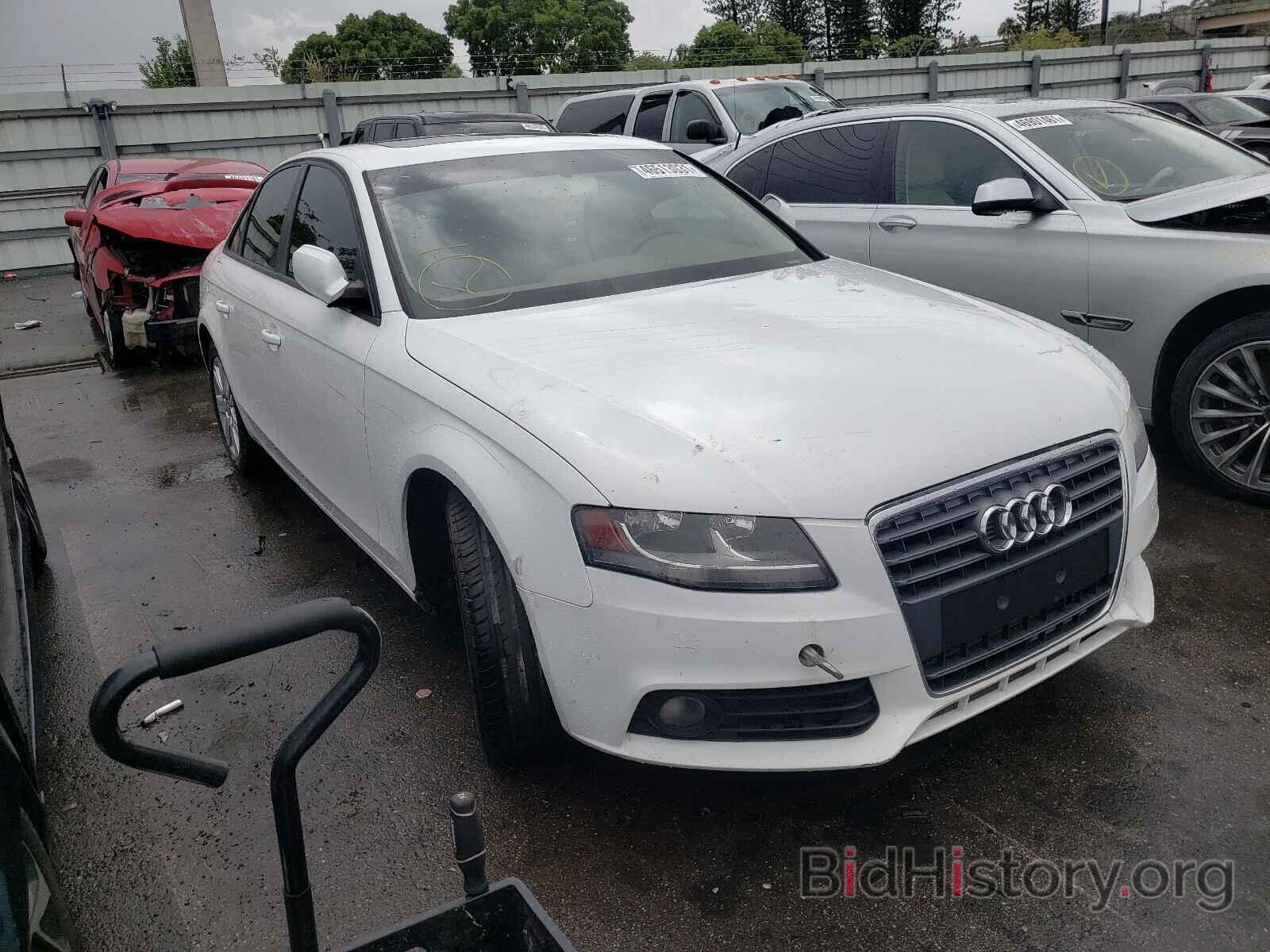 Фотография WAUAFAFL9BN056922 - AUDI A4 2011