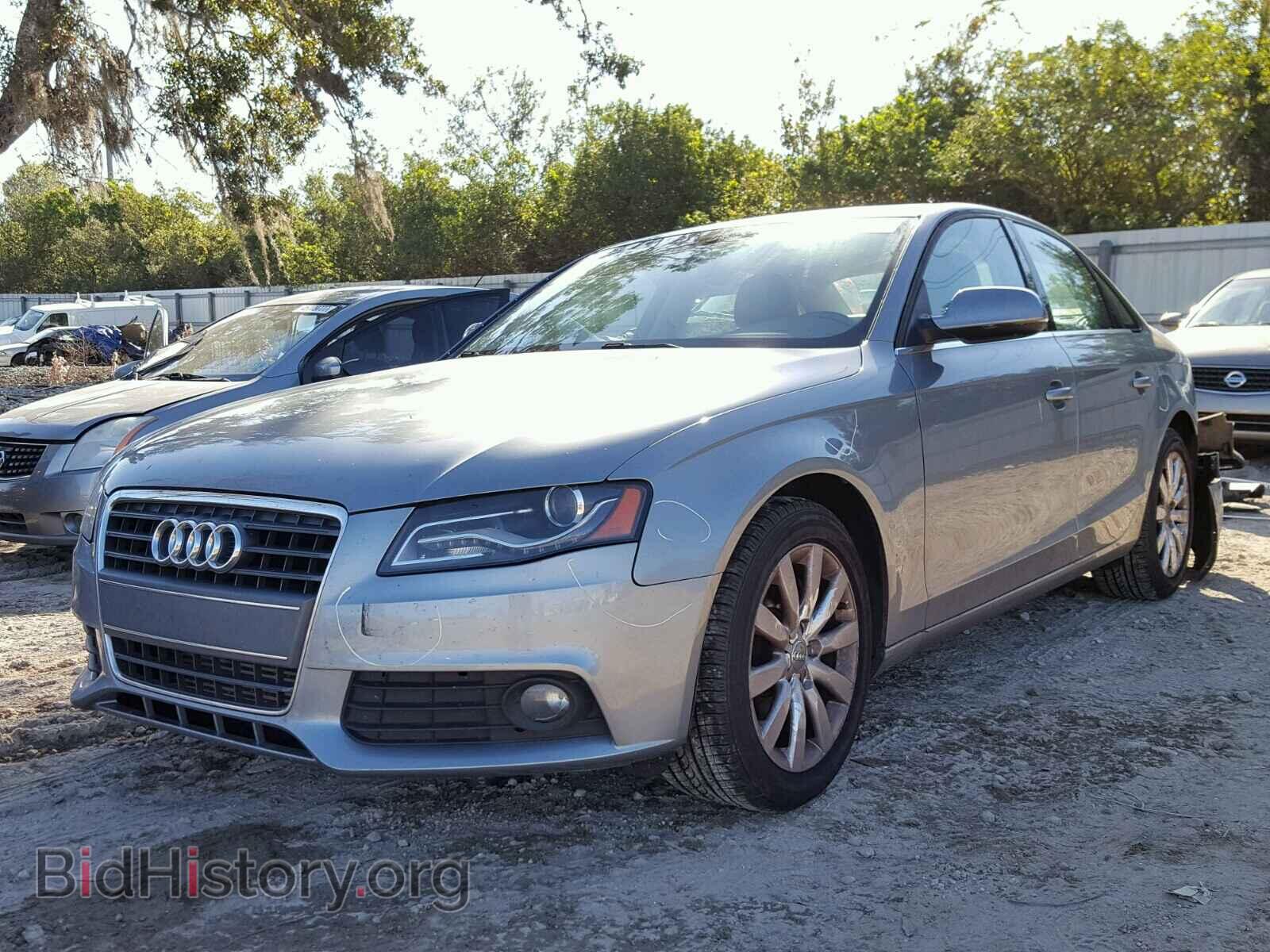 2010 AUDI A4 - VIN: WAUEFAFL4AN005540 - Фото 2