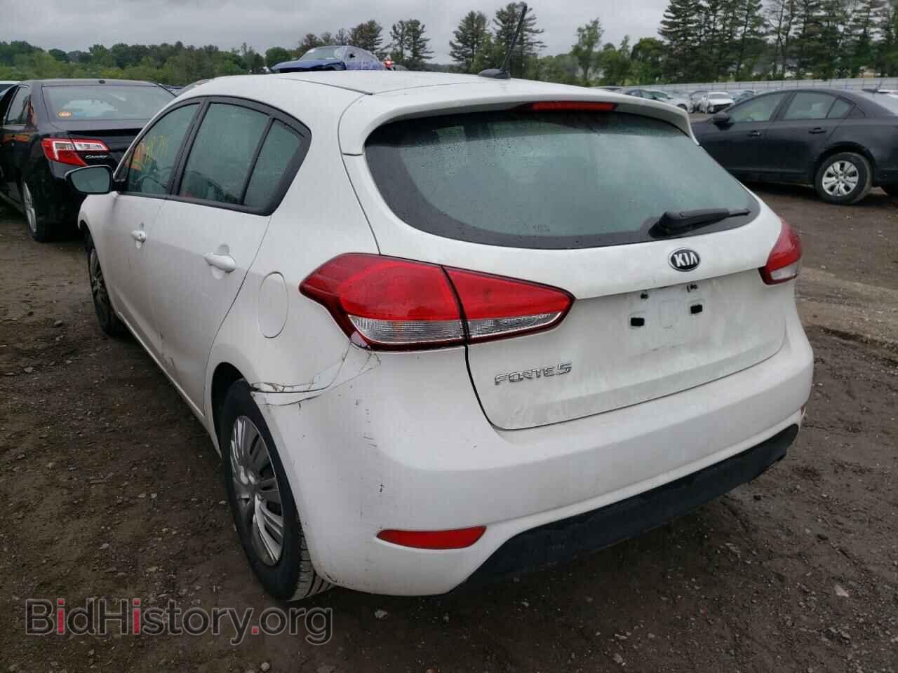 2017 KIA FORTE - VIN: KNAFK5A87H5702091 - Фото 3