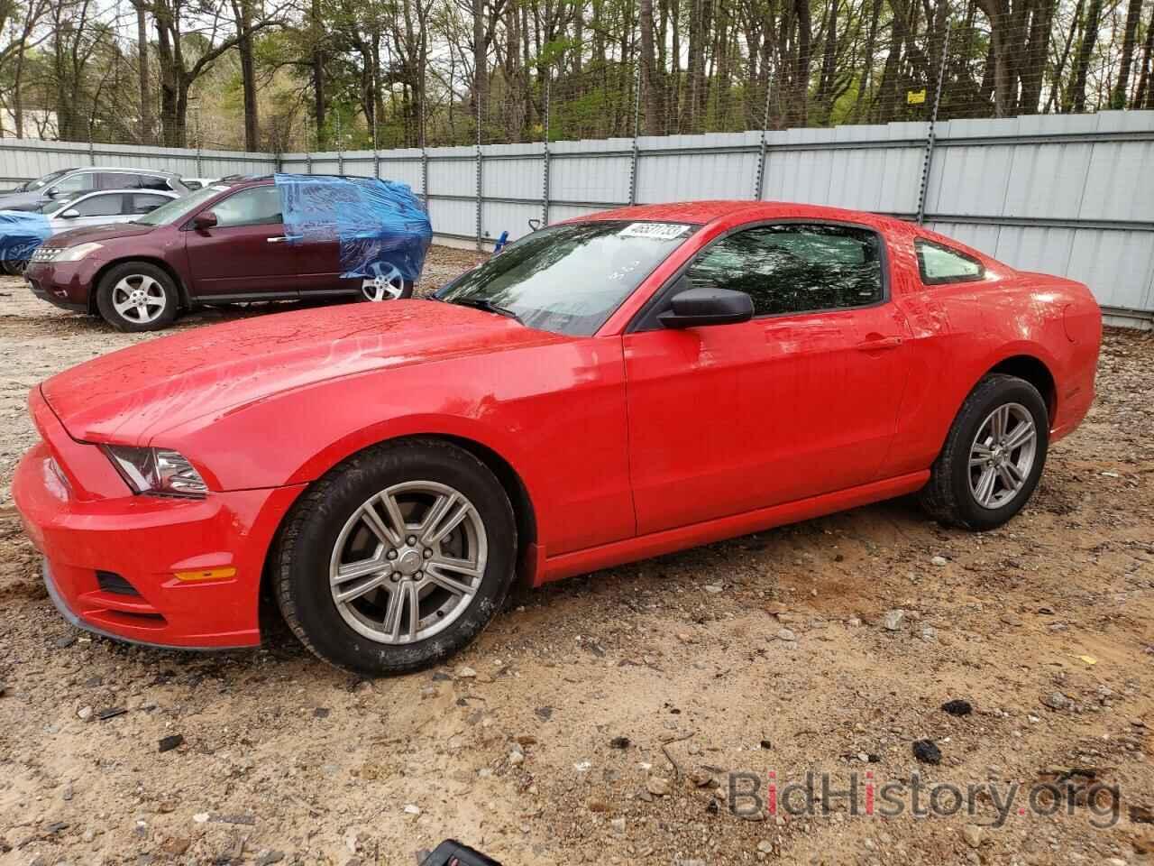 Photo 1ZVBP8AM0D5261395 - FORD MUSTANG 2013