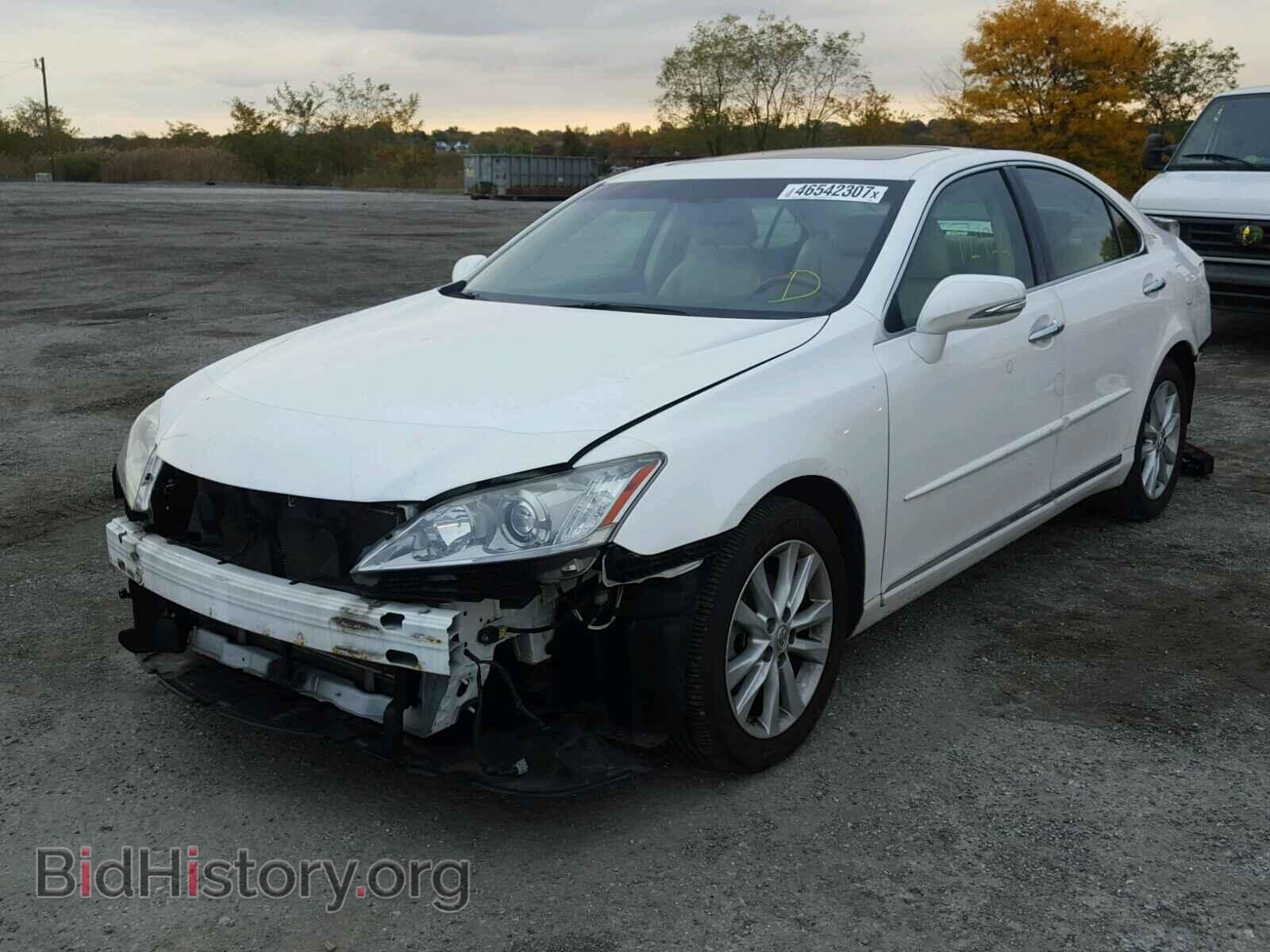 2011 LEXUS ES350 - VIN: JTHBK1EG5B2469606 - Фото 2