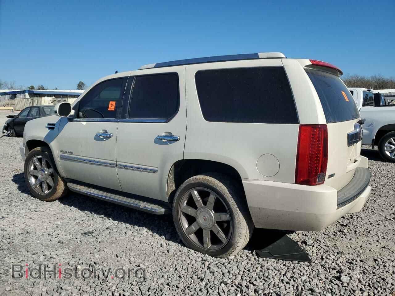 2012 CADILLAC ESCALADE - VIN: 1GYS3BEF8CR313834 - Фото 2