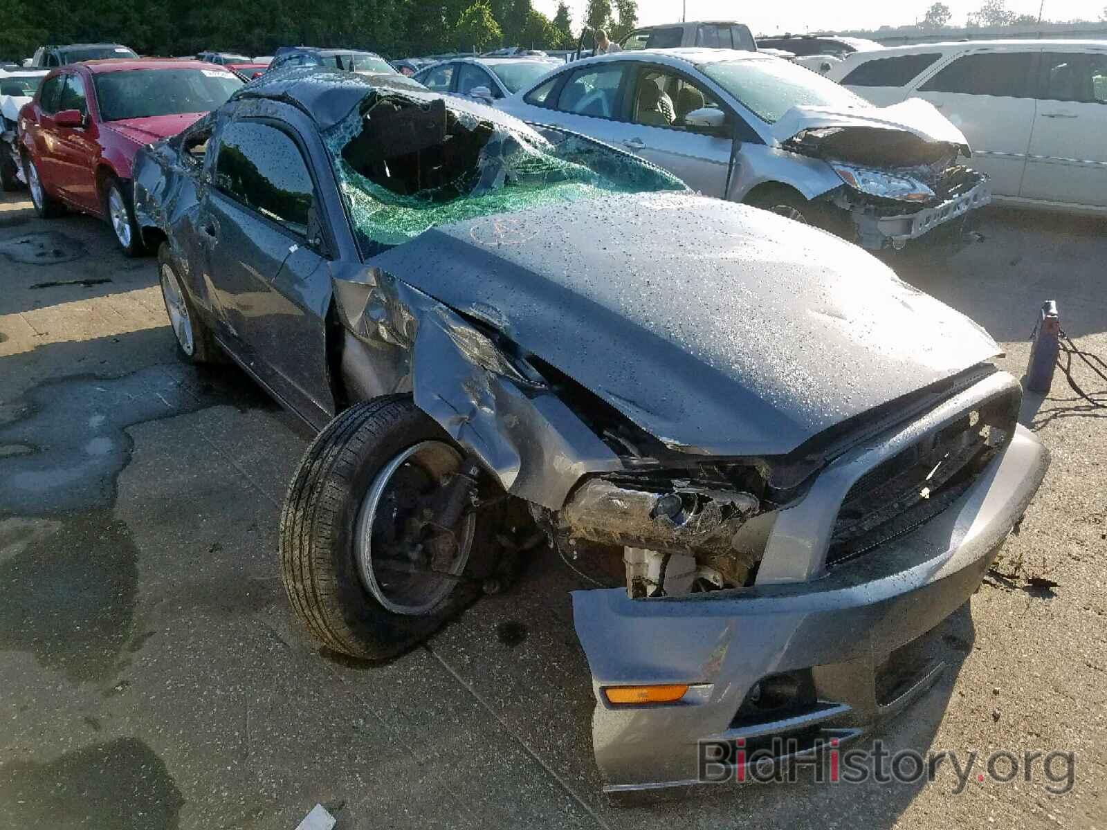 Photo 1ZVBP8AM1D5256447 - FORD MUSTANG 2013