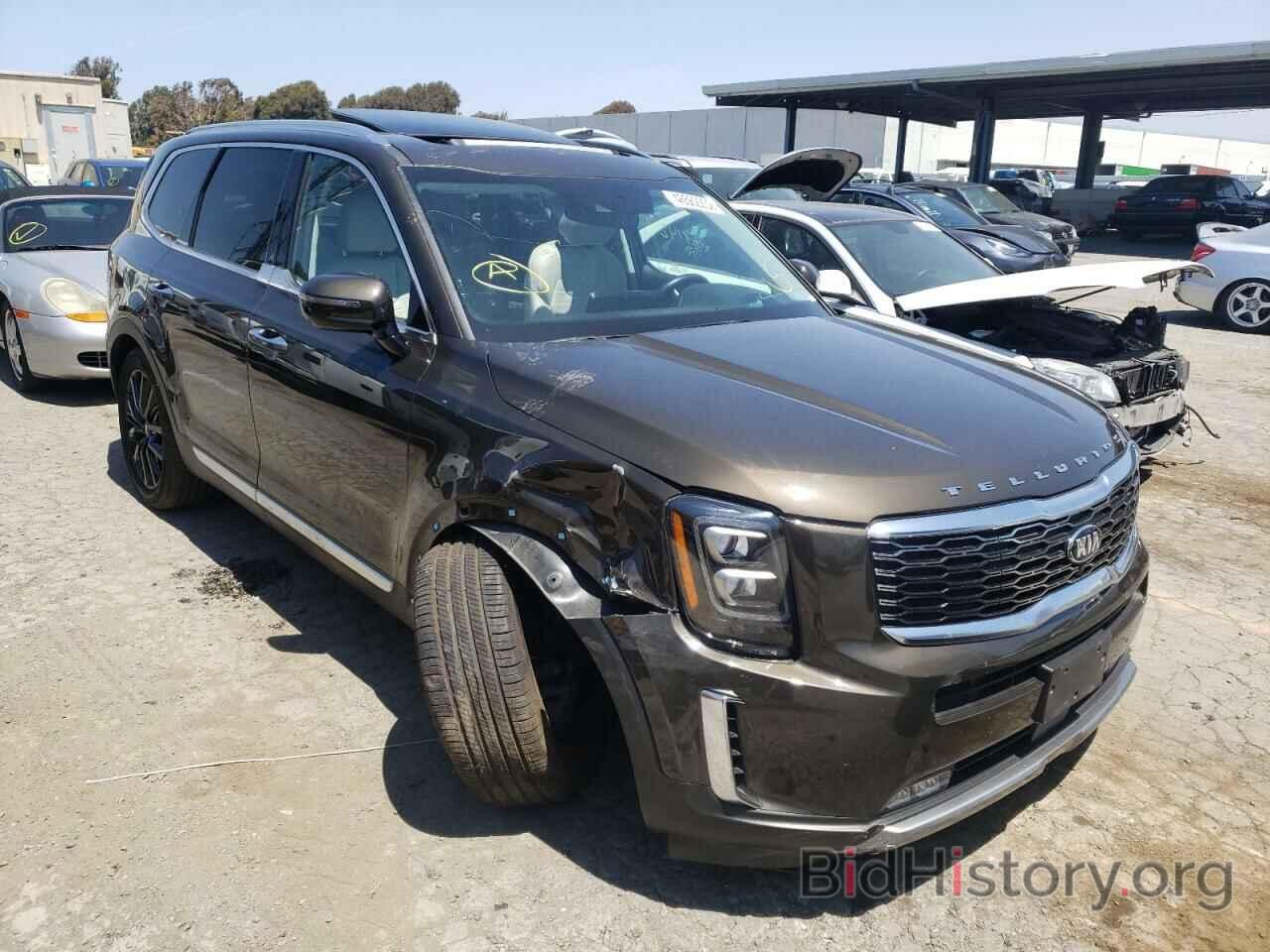 Photo 5XYP5DHC7MG109058 - KIA TELLURIDE 2021