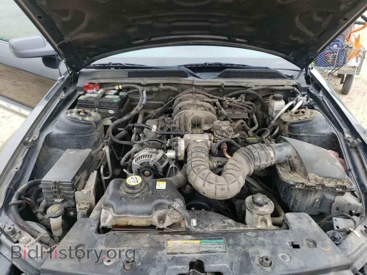2009 FORD MUSTANG - VIN: 1ZVHT80N995105458 - Фото 7