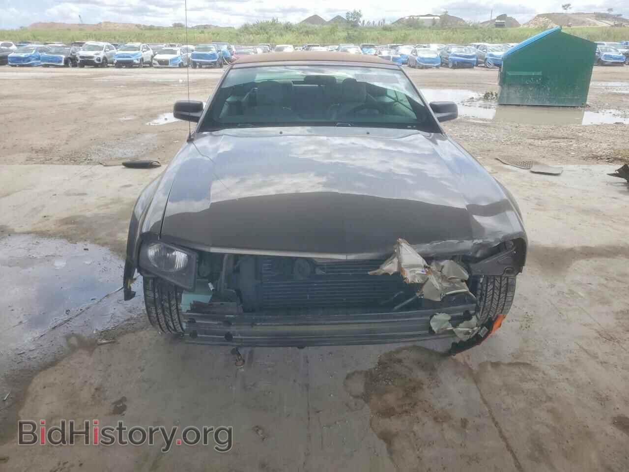 2005 FORD MUSTANG - VIN: 1ZVFT84N755225299 - Фото 5